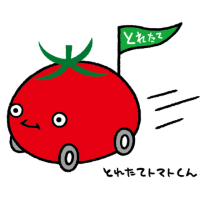 tomatokunn200