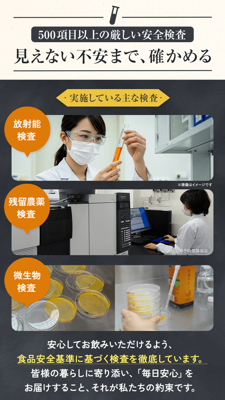 lp_kensa_20250820