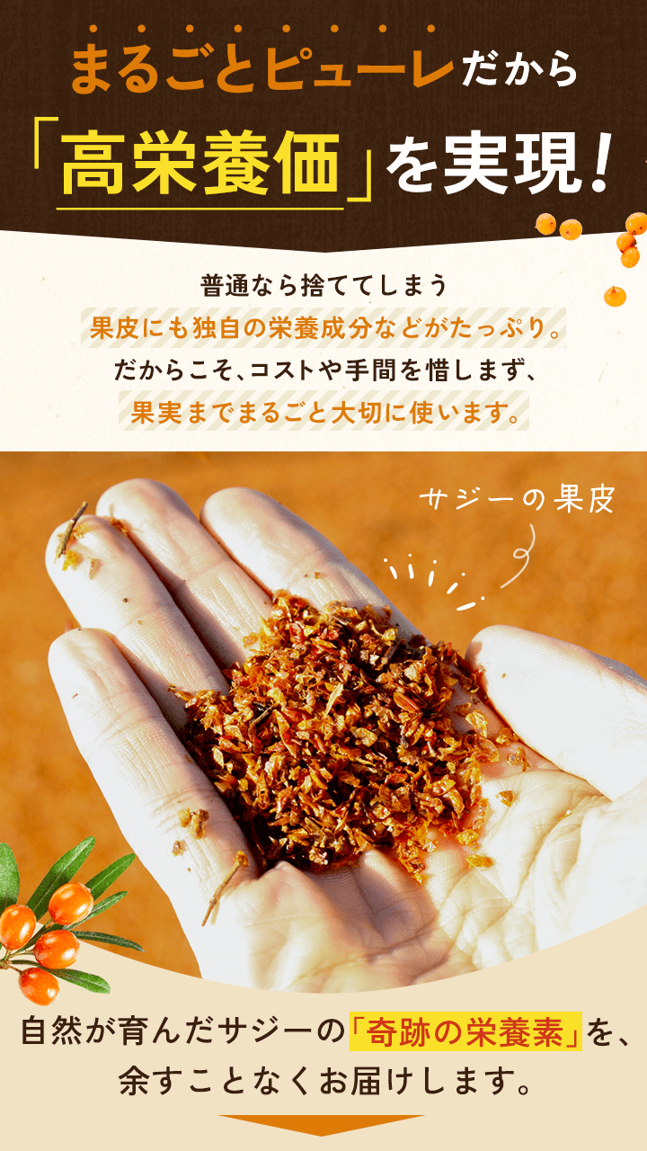 lp_pyure_20250820