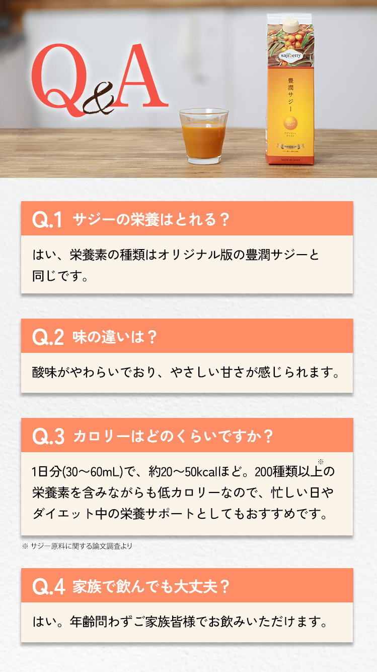 lp_qa_20250819