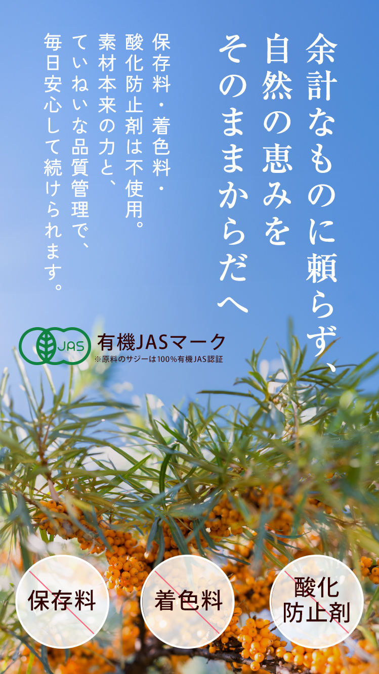 lp_safety_20250612