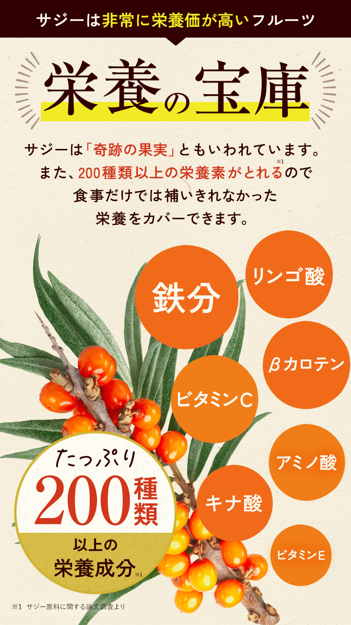 lp_treasure_20250820