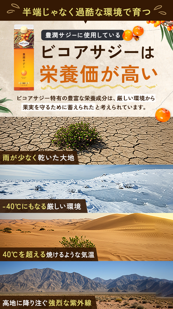 keizoku_kakoku_250924
